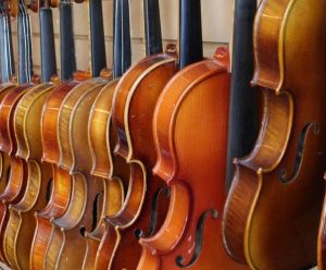 Violins Violins